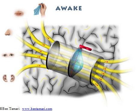 awake