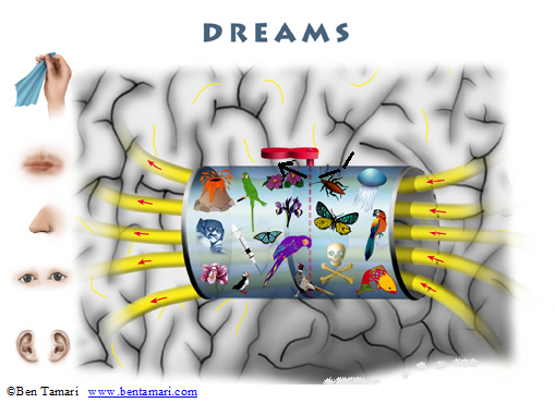 dreams