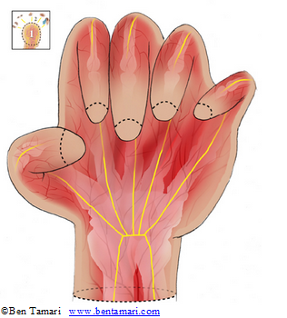 hand 1