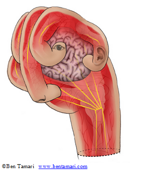 hand 2