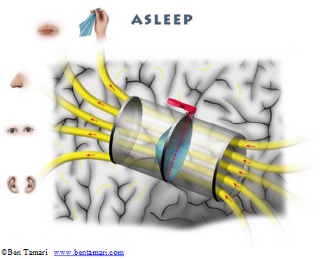 asleep
