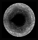 Almost Mandelbrot North Pole Of Saturn