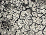 crack mud