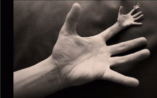 fractal hand Blue Stellaluna