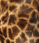 girapha skin