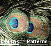 Forms