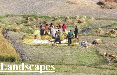 Landscapes